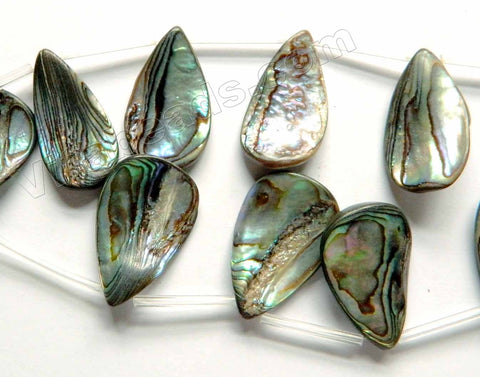 Abalone  -  Top Drilled Smooth Briolette 8"