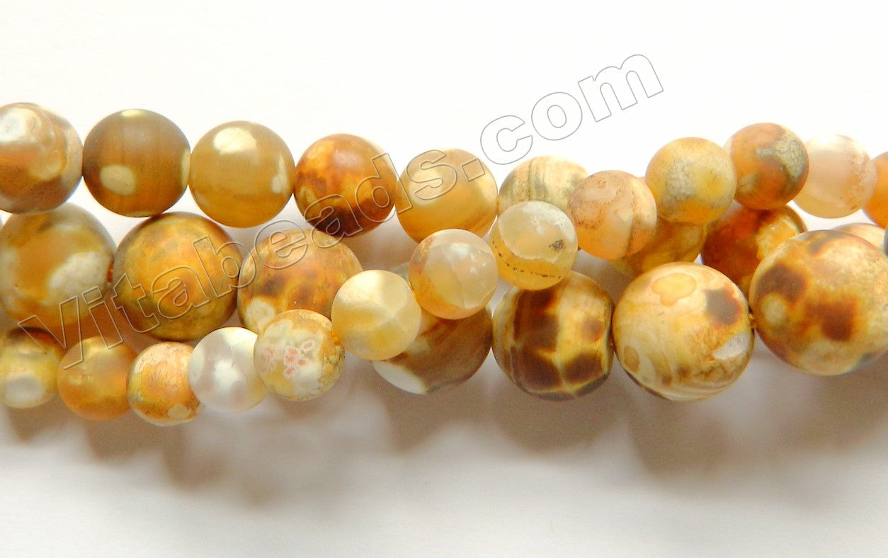 Frosted Turtle Brown Fire Agate  -  Smooth Round Beads  15"