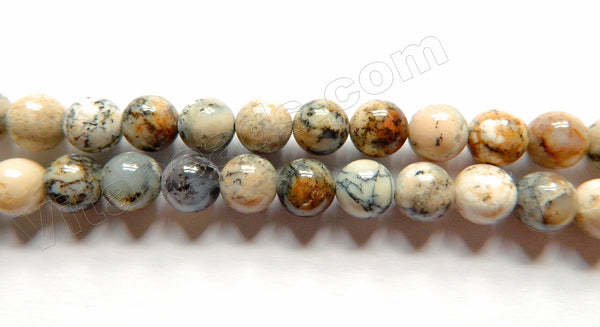 Natural Black Tree Opal AAA  -  Smooth Round Beads  15"