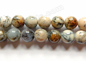 Natural Black Tree Opal AAA  -  Smooth Round Beads  15"