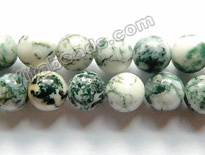 Tree Agate A  - Smooth  Round  16"
