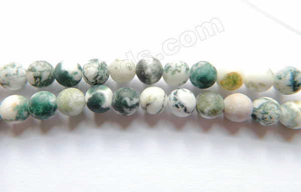 Matte Tree Agate A  - Smooth  Round  16"