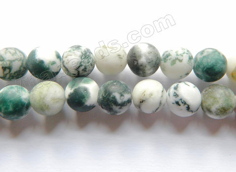 Matte Tree Agate A  - Smooth  Round  16"