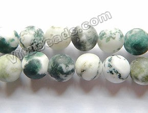 Matte Tree Agate A  - Smooth  Round  16"